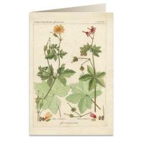 Tassotti Tassotti Karnet B6 + koperta 6057 Pelargonia pachnąca 462342