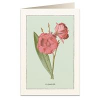 Tassotti Tassotti Karnet B6 + koperta 6023 Oleander 462323