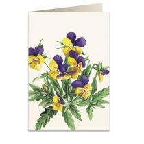 Tassotti Tassotti Karnet B6 + koperta 8036 Bratki 462397