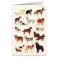 Tassotti Tassotti Karnet B6 + koperta 8948 Psy 2 462402