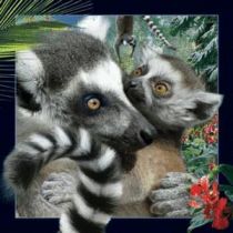 Worth-Keeping Gadżet Worth-Keeping Magnes na lodówkę 3D Lemur WIKR-1000418 WIKR-1000418