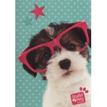 Paso Zeszyt 16 kartki linie Studio Pets PEK-105A