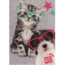 Paso Zeszyt 16 kartki linie Studio Pets PEK-105B