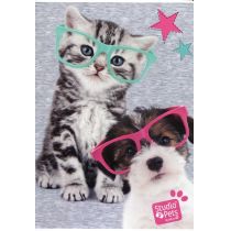 Paso Zeszyt 32 kartki linie Studio Pets PEK-107B