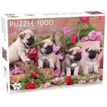 Tactic Puzzle 1000 Puppy Pugs -