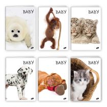 Zeszyt A5 w kratkę 32 kartki mix wzorów