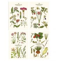 Astra Notes A5/64K gładki Sketch&note Herbarium