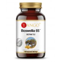 YANGO Yango Boswellia 65Tm 300 Mg 60 t Kadzidłowiec YA112