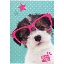 Paso Zeszyt 16 kartek kratka Studio Pets PEK-205A