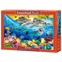 Castorland Puzzle 1000 Dolphins in the Tropics Nowa