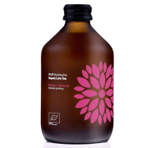 Lumarko Kombucha Z Mango I Marakują Bezglutenowa Bio 330 Ml - Vigo!