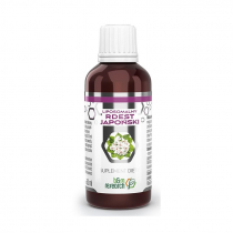 BOTANICAL RESEARCH B&M Rdest Japoński 50 ml liposomalny BR3115
