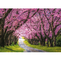 Michalczyk i Prokop Spółka z o.o. Kalendarz trójdzielny Mipro T-106T-5 288x622mm T-106T-5