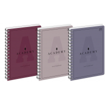 Inter-druk Kołozeszyt A4/100K kratka Academy 5szt)