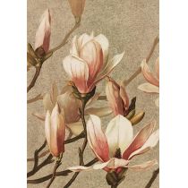 Skona Ting Karnet ST400 B6 + koperta Magnolia