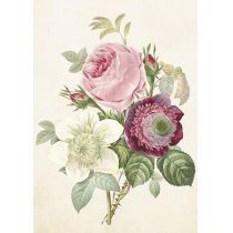 Skona Ting Karnet ST413 B6 + koperta Róże