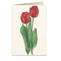 Tassotti Tassotti Karnet B6 + koperta 7517 Czerwone tulipany 462380