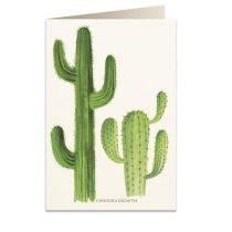 Tassotti Tassotti Karnet B6 + koperta 5986 Kaktusy 462306