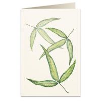 Tassotti Tassotti Karnet B6 + koperta 6017 Foglia tripartita 462317