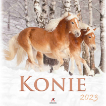 Kalendarz 2023 Wieloplanszowy Konie ARTSEZON