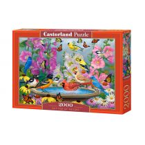 Puzzle 2000 Rhythm of Nature - Castorland
