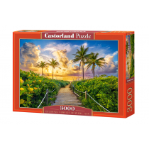 Puzzle 3000 Colorful Sunrise in Miami, USA - Castorland