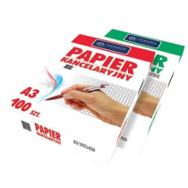 INTERDRUK Papier kancelaryjny A3/100K kratka