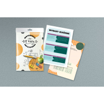 Pomoce Edukacyjne Elektrostatyczne. Klasa 8