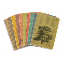 Zeszyt A5/64K linia By Nature - Forrest (10szt) - Elanders