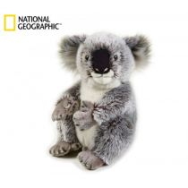 Pluszak Koala Australijski National Geographic