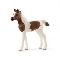 Schleich 13839 ŹREBIĘ RASY PINTABIAN SCH13839