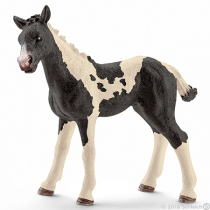 Schleich aciaty źrebak