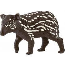Mały tapir Nowa