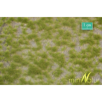 MiniNatur Dwukolorowe wiosenne tufty 2 42x15 cm