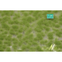 MiniNatur Tuft - Długa wiosenna trawa 1 42x15 cm