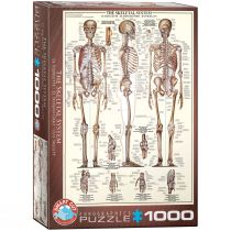 Eurographics Puzzle 1000 Układ szkieletowy 6000-3970