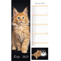 Kalendarz 2023 Ścienny pasek Koty