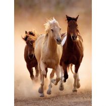 Clementoni Running horses Puzzle 1000