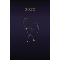 Zielona Sowa Kalendarz 2020 Astronomiczny Praca zbiorowa