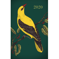 Zielona Sowa Kalendarz 2020 Ptaki Praca Zbiorowa