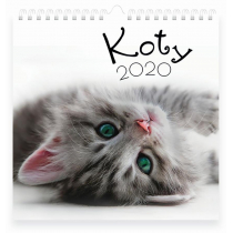 Interdruk Kalendarz 2020 planszowy 32x32 Koty