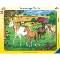 Ravensburger Puzzle ramkowe 46 Konie na padoku