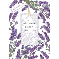 Trend Trend Kartka okolicznościowa Urodziny TG08 463321