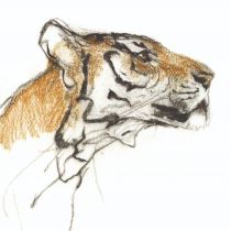 Museums & Galleries Karnet kwadrat z kopertą Head of a Tiger