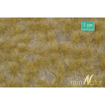 MiniNatur Tuft - Długa późnojesienna trawa 2 42x15 cm