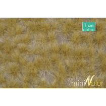 MiniNatur Tuft - Długa późnojesienna trawa 12 mm, 24x15 cm