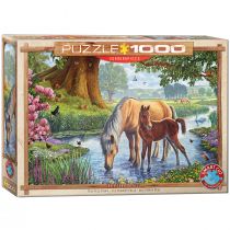 Eurographics Puzzle 1000 Dzikie koniki Steve Crisp 6000-0976