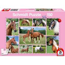 Schmidt Spiele PQ Puzzle 150 el. Konie