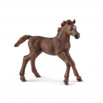 Schleich Źrebak pełenej krwi angielskiej GXP-622474