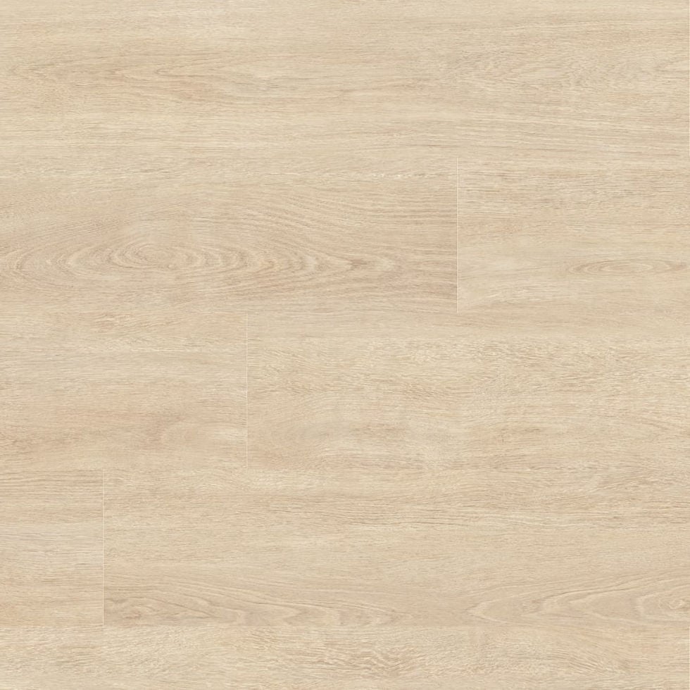 Dąb Paris Cosmopolitan S184367